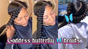 Butterfly Braids
