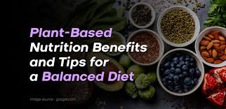Plant-Based Nutrition Tips